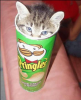   PRINGLES